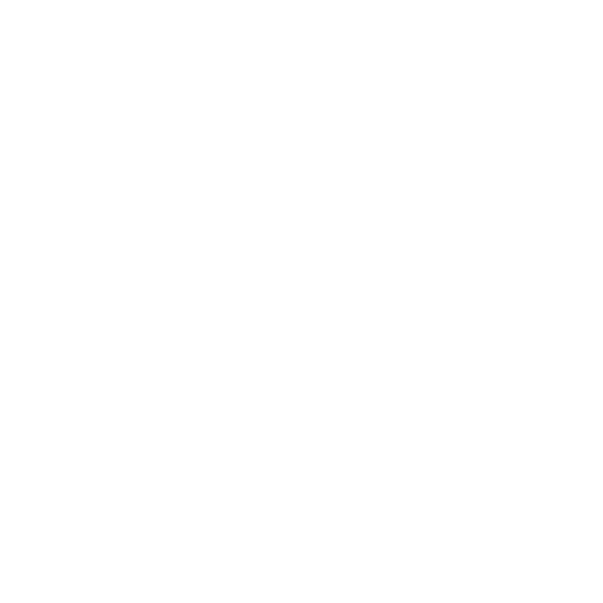 Logo Elins Research Club